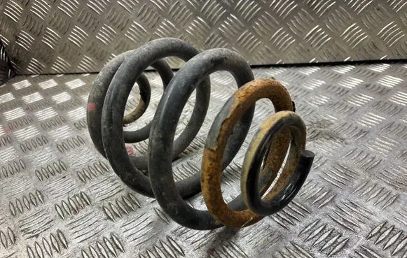 Volkswagen Sharan Rear coil spring 