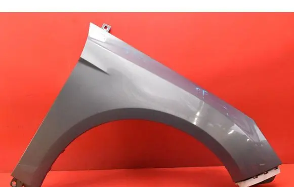 Ford Focus Fender