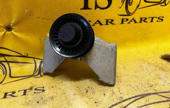 Dacia Sandero III Generator/alternator belt tensioner 119231672R