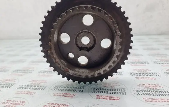 Audi A2 Camshaft pulley/ VANOS 036109111C