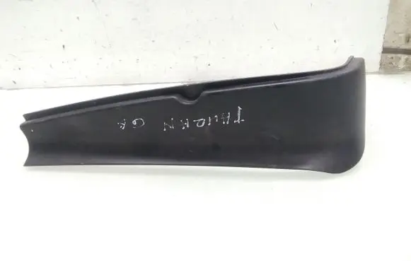 Rear/tail light trim molding