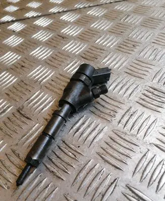 Citroen Berlingo Fuel injector 0445110062 9640088780