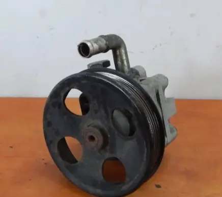 Suzuki Grand Vitara II Power steering pump 4910065J00 76053215