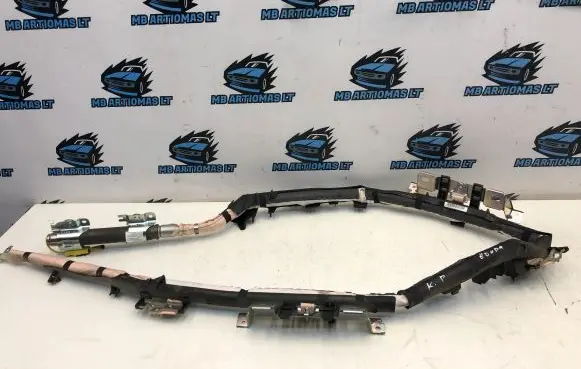Honda Insight Roof airbag