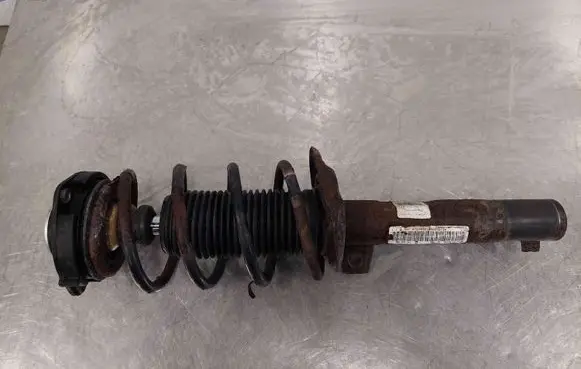 Volkswagen Jetta V Front shock absorber with coil spring 1K0413031
