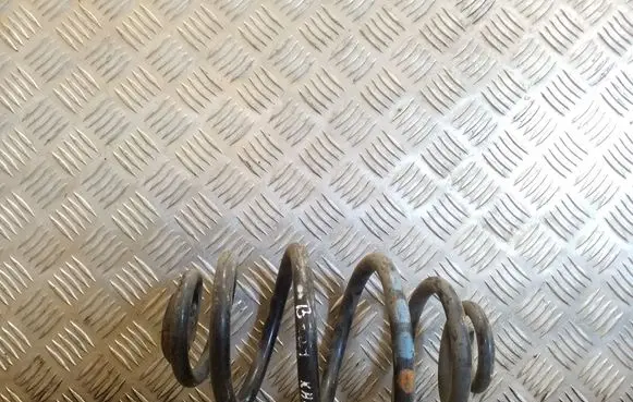 Rear coil spring