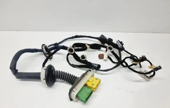 Front door wiring loom