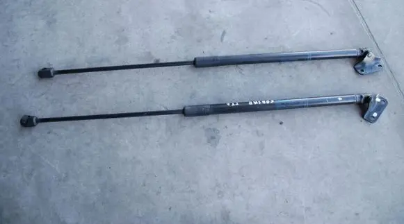 Tailgate strut