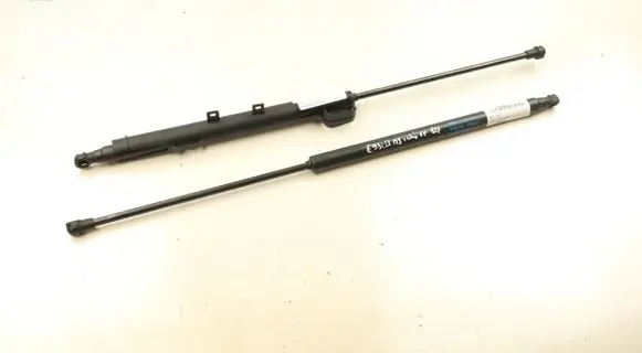 Tailgate/trunk strut/damper