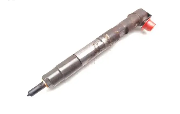 Mercedes-Benz Sprinter W906 Fuel injector 28342997 A6510704987