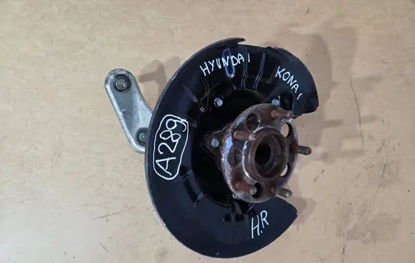 Hyundai Kona I Rear wheel hub spindle/knuckle A289