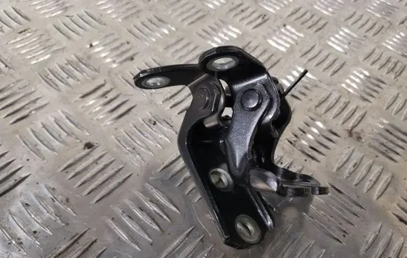 Toyota Prius (XW50) Rear door hinge set 