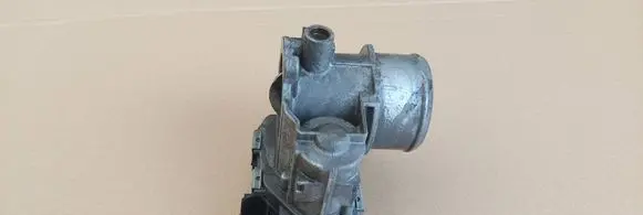 Iveco Daily 5th gen Throttle body valve 