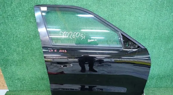 Citroen C3 Front door 