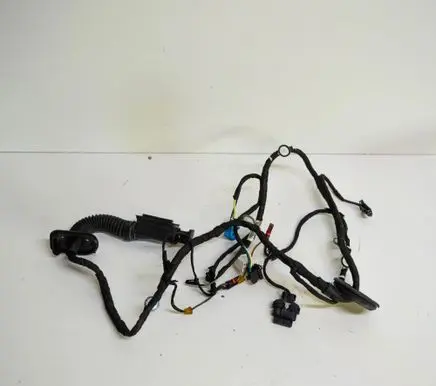 Audi A5 Rear door wiring loom 8W8971687D