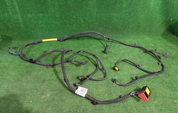 Other wiring loom