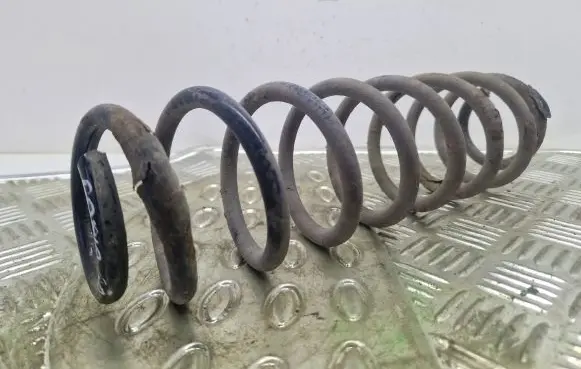 Rear coil spring