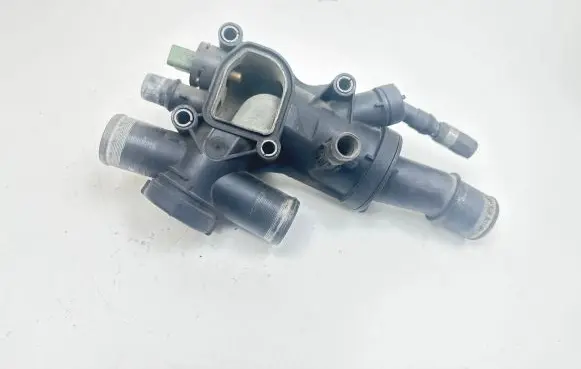 Thermostat/thermostat housing