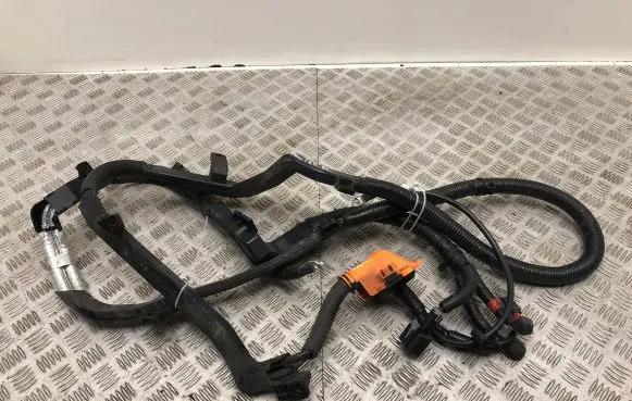 Hyundai i20 (BC3 BI3) Other wiring loom 91671Q0010 91961Q0040