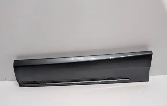 Rear door trim (molding)