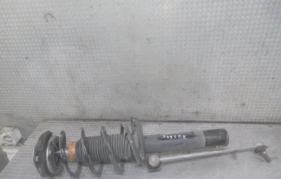 Front shock absorber with coil spring