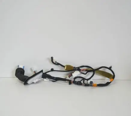 Front door wiring loom