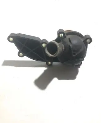 Thermostat/thermostat housing