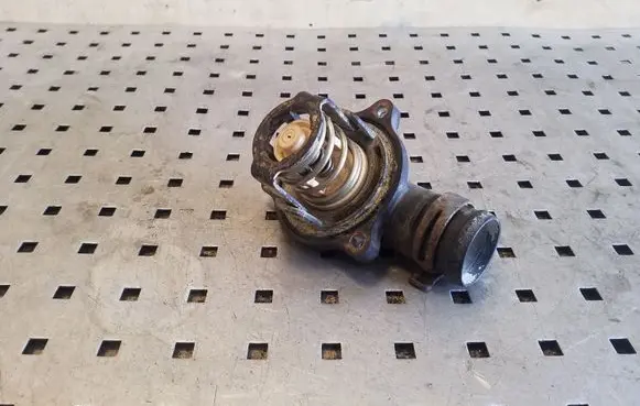 Thermostat/thermostat housing