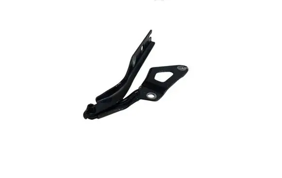 Volkswagen Tiguan Engine bonnet/hood hinges 5NA823301