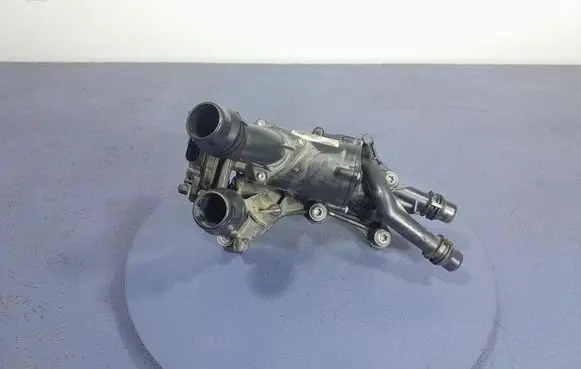 Thermostat/thermostat housing