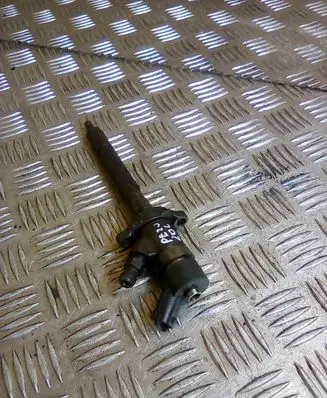 Peugeot 206 Fuel injector 0445110188 892080