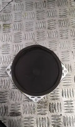 Front door speaker