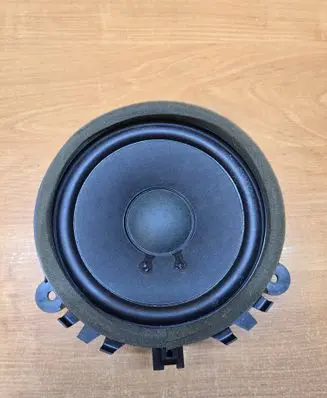 Rear door speaker
