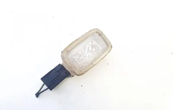 Hyundai Santa Fe Rear door interior light 