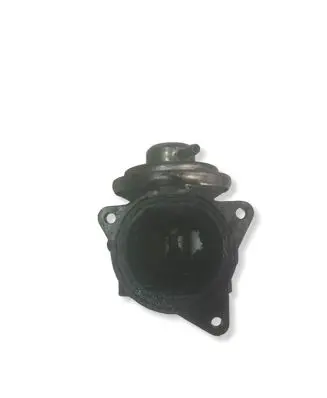 Volkswagen Golf V EGR valve 038131501AN