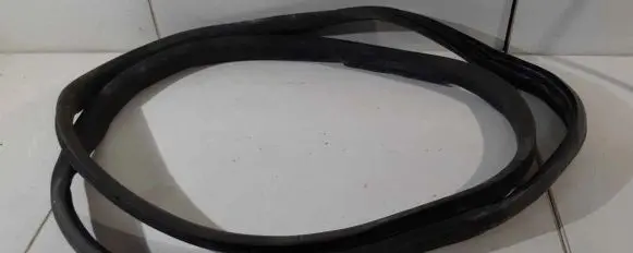 Renault Zoe Front door rubber seal 