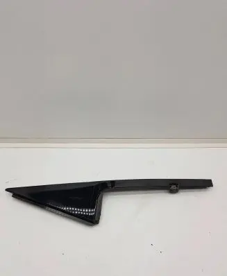 Rear door trim (molding)