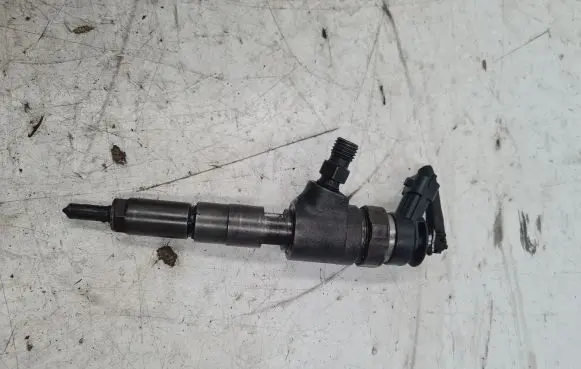 Citroen C3 Fuel injector 9641496180 0445110075