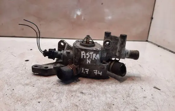 Thermostat/thermostat housing