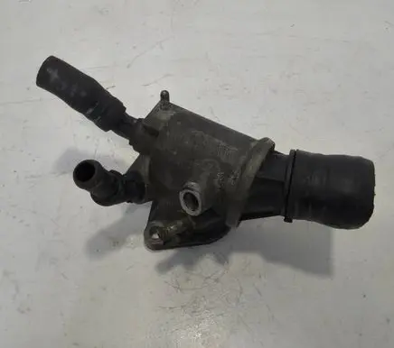 Thermostat/thermostat housing