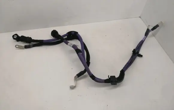 BMW X3 G01 Wires (generator/alternator) 8797160 9441935 8795750