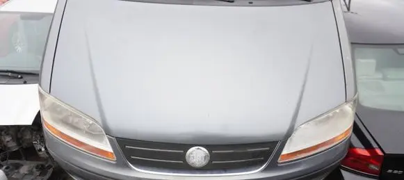 Engine bonnet/hood