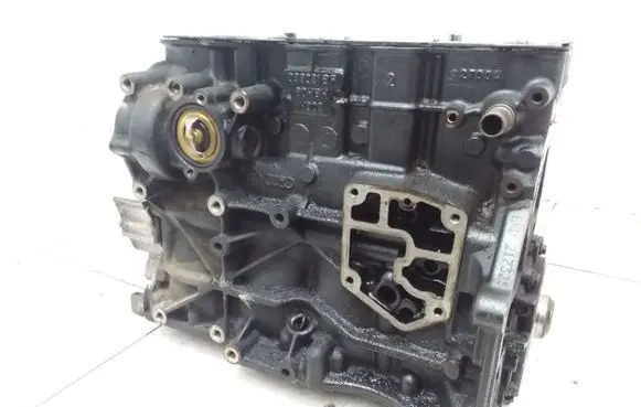 Volkswagen Golf V Engine block BKD BKD217325 038021BP