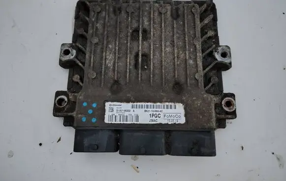 Engine control unit/module ECU