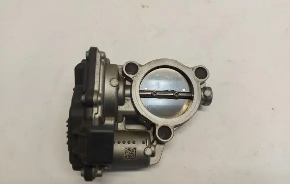 Throttle body valve