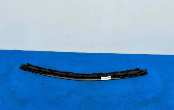 Mercedes-Benz AMG GT C192 Front bumper lower grill A1928859800