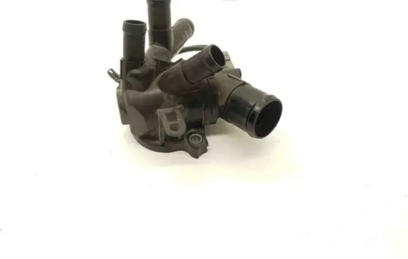 Nissan Juke I F15 Thermostat 110617039R