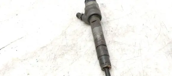 BMW X1 E84 Fuel injector 0445110289 7798445