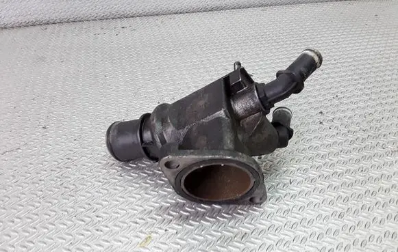 Thermostat/thermostat housing