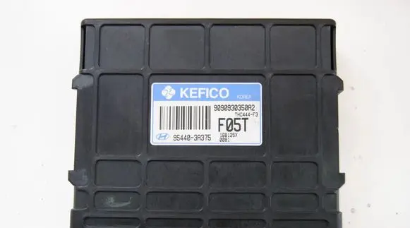 Hyundai Santa Fe Other devices 954403A375